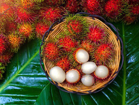 5 nhóm người không nên ăn chôm chôm kẻo sinh bệnh, rước họa vào thân-4