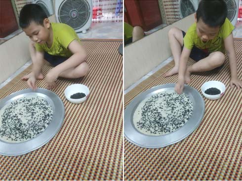 Quá mê xem tivi, cậu bé lớp 2 bị anh trai bắt nhặt đỗ đen như nàng Tấm-1