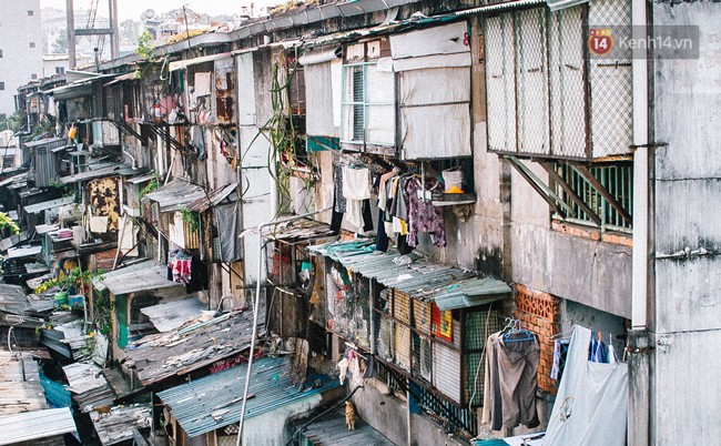 Bị nhiễm trùng máu và suy thận nặng, cô gái 26 tuổi rơi vào tình trạng nguy kịch, cộng đồng kêu gọi giúp đỡ-2