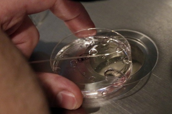 Dụ dỗ sinh viên đẹp, học giỏi bán trứng với giá 14.600 USD-1