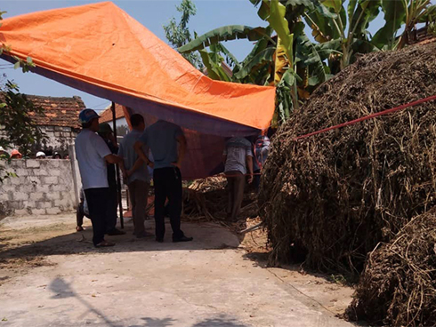 Vụ em sát hại anh họ rồi phủ bạt che: Nghi phạm giả vờ ngất xỉu khi bị bắt-3