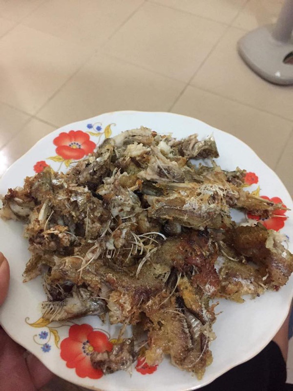 Siêu phẩm cá rán nát nhừ khiến dân mạng không khó như mẹ chồng cũng phải thốt lên: 1 điểm về chỗ!-3