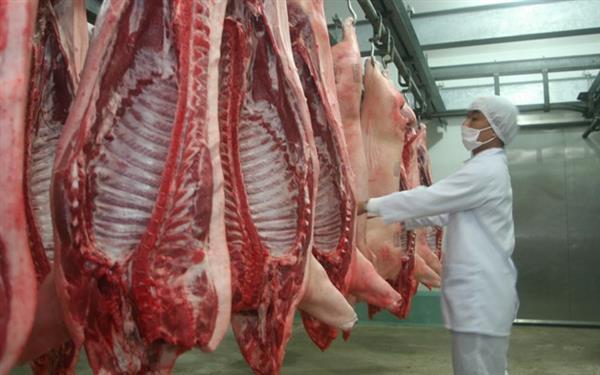 Việt Nam dịch bệnh thảm khốc chưa từng có, đông đá thịt lợn để dân ăn dần-2