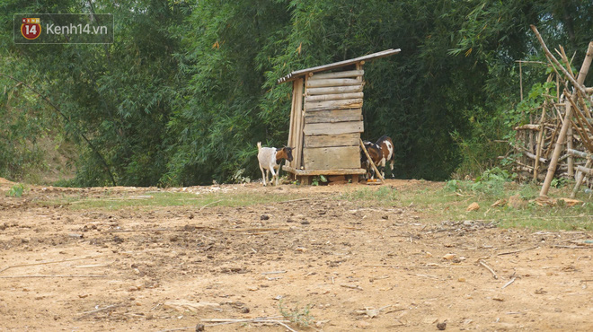 Bản làng nơi những ông trùm ma túy gieo rắc cái chết trắng: Cha mẹ chết vì HIV, con trẻ mồ côi sống lay lắt từng ngày-6