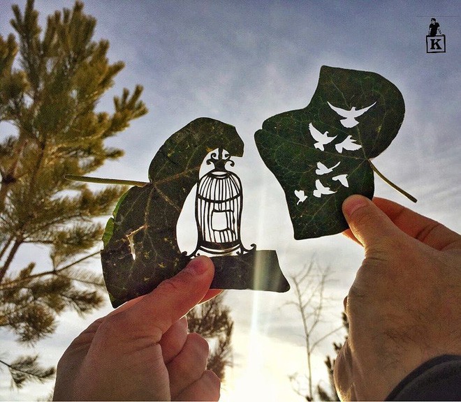 Lá rụng ở Kazakhstan lại biến thành cả bầu trời nghệ thuật-15