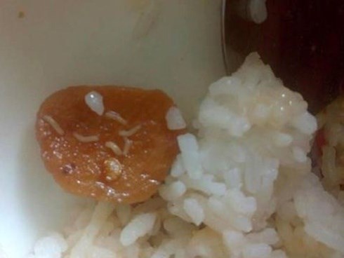 Suất ăn trưa ở trường quốc tế có giòi: Ăn thức ăn có giòi nguy hiểm thế nào?