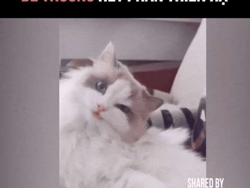 Tan chảy với những khoảnh khắc đáng yêu của trẻ con với thú cưng-1