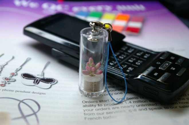 Đây là những thứ ngớ ngẩn nhất mà người ta sản xuất cho smartphone-5