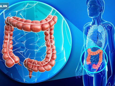 Nguy cơ gây ung thư cho cả gia đình vì thói quen dùng dầu ăn mà nhiều bà nội trợ Việt tưởng vô hại-4