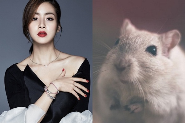 Cuối tuần này: 3 con giáp được Thần Tài chiếu cố, tiền ập xuống đầu, vàng bạc đầy két-1