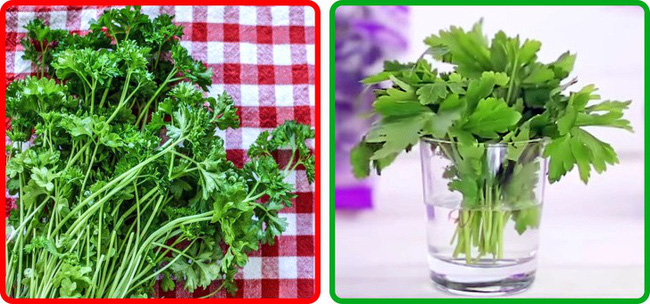 Thật không thể tin nổi chẳng cần tủ lạnh vẫn có thể giữ rau củ quả tươi roi rói nhờ loạt bí kíp đặc biệt-4