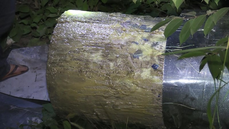 Vụ 2 thi thể trong thùng nhựa: Màn phi tang rùng rợn của hung thủ với bê tông, silicon và trà ướp xác-4