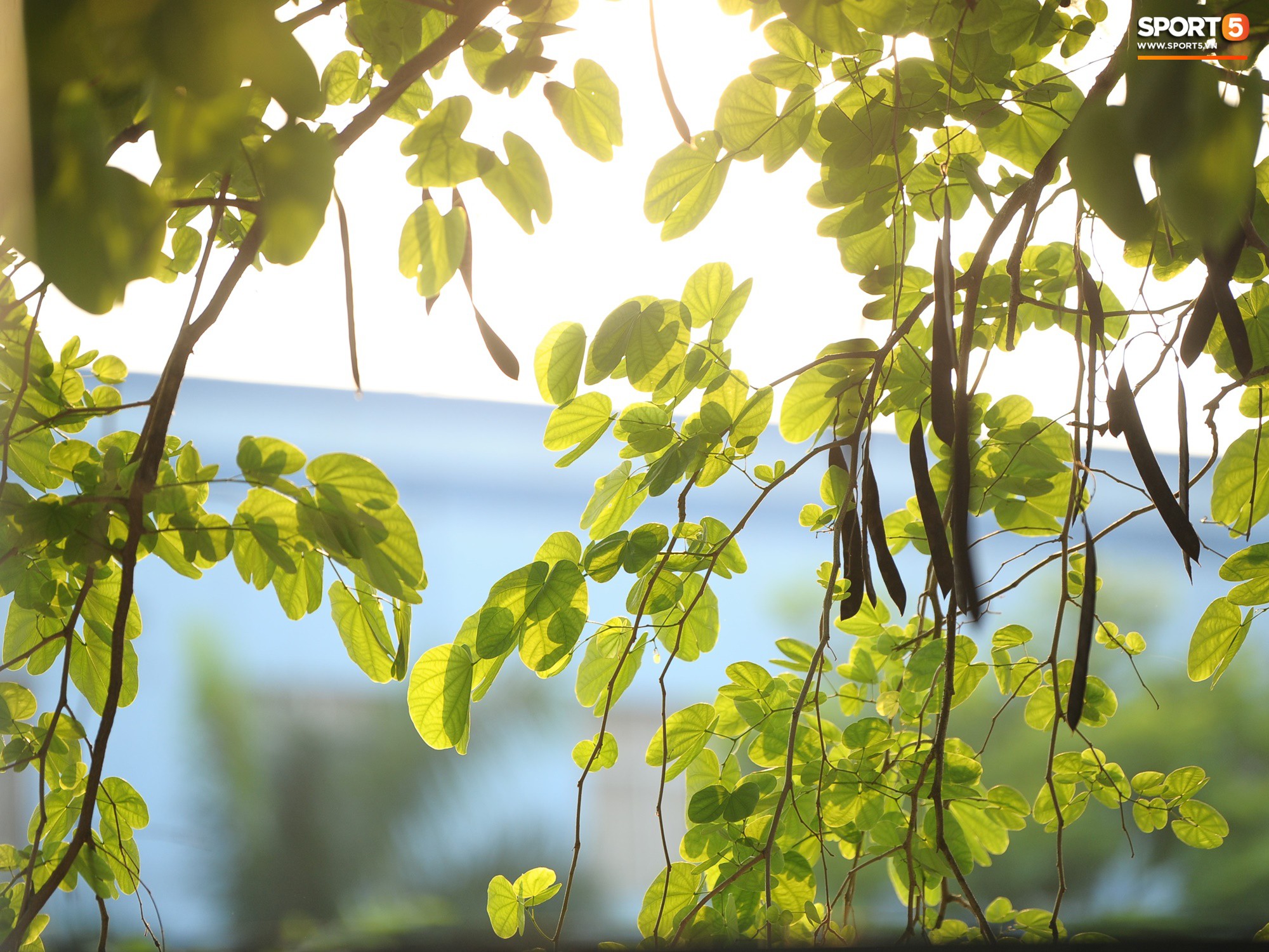 Những thiên thần trên sân tập của Hà Nội FC tạo nên khung cảnh khiến người xem mê mẩn như thước phim thanh xuân vườn trường-17