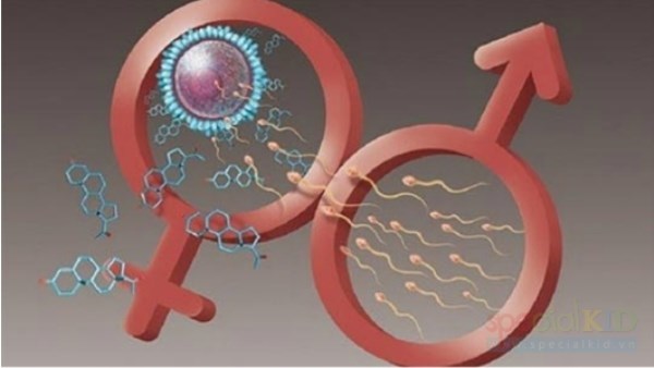 Tụi lớp con rủ nhau vào nhà nghỉ đầy ra đấy, mẹ quen đi!-1