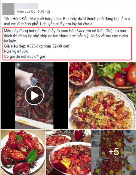 Tôm hùm đất giá nào cũng có bán tràn lan trên mạng, mặc cảnh báo có thể nguy hiểm, bà nội trợ vẫn mua ầm ầm-2