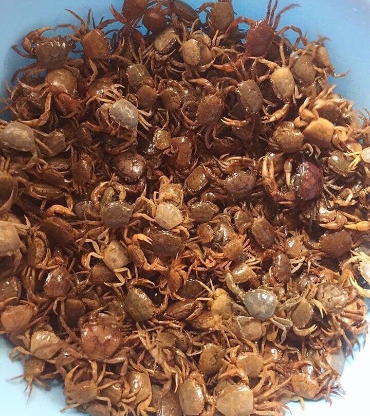 Ngã ngửa kho cua đồng đông lạnh: Ủ mưu mấy tháng, trúng đậm 1 ngày-3