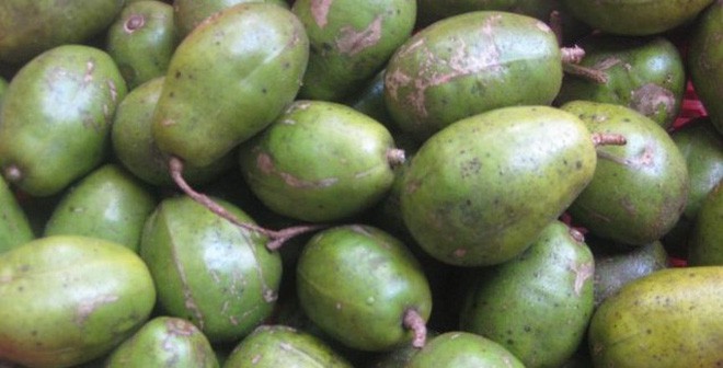 Lợi ích sức khỏe của quả cóc-2