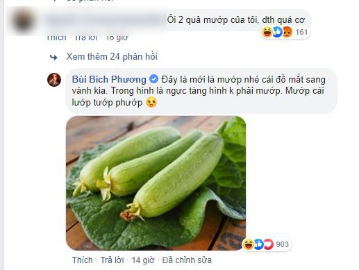 Bích Phương đáp trả đôm đốp khi bị chê diện áo tắm mà lép kẹp-4