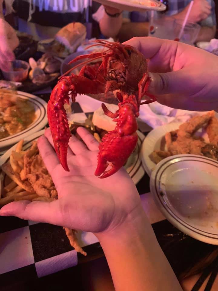 Vừa mới kéo nhau đổ xô đi mua tôm hùm đất, team nội trợ lại rầm rộ đòi tẩy chay vì nghe tin tôm có hại-5