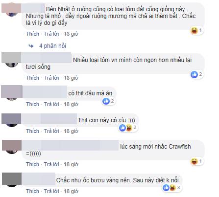 Vừa mới kéo nhau đổ xô đi mua tôm hùm đất, team nội trợ lại rầm rộ đòi tẩy chay vì nghe tin tôm có hại-9