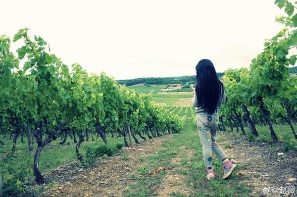 Những nhóc tì nhà sao đắt giá nhất Cbiz: Học trường quốc tế đắt đỏ, thậm chí có của hồi môn ngàn tỷ khi mới 1 tuổi-8