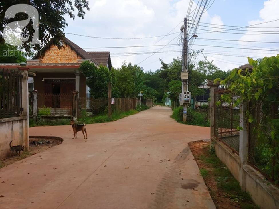 Tiết lộ lý do nhóm nghi can đâm nhiều nhát vào người nạn nhân trước khi đổ bê tông ở Bình Dương-12