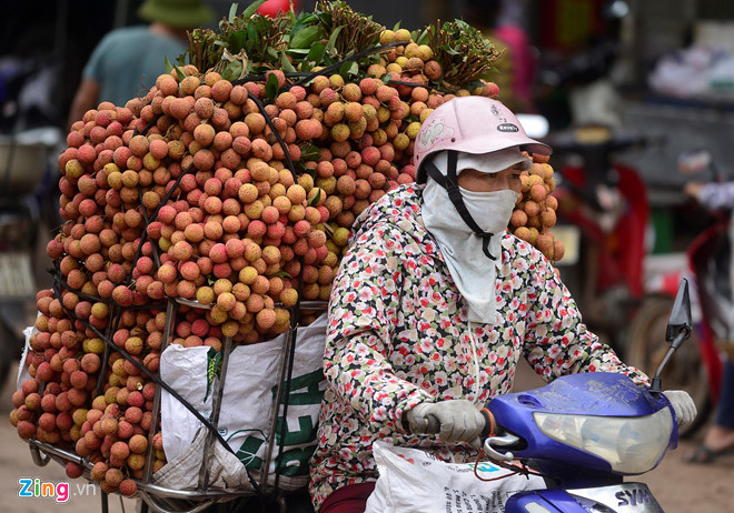 Tiểu thương hét giá vải đầu mùa 90.000 đồng/kg-1