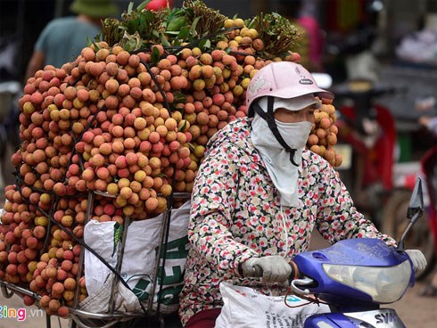 Tiểu thương 'hét giá' vải đầu mùa 90.000 đồng/kg