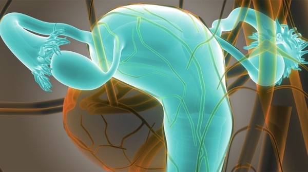 Bé gái 14 tuổi bụng to bất thường, đi khám phát hiện bệnh ung thư hiếm gặp và tử vong sau 1 năm, bác sĩ khuyên cha mẹ cần chú ý bộ phận này của con-3