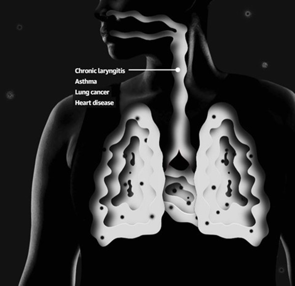 Ô nhiễm không khí Hà Nội, TP.HCM có thể tàn phá mọi bộ phận cơ thể-4