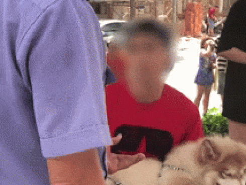 Thanh niên Việt kiều lên tiếng sau clip tranh cãi với bảo vệ: Chó tao là chó nằm máy lạnh-3