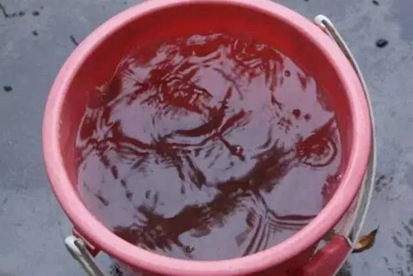 Một xô nước tàn phá một gia đình, câu chuyện của BS cảnh tỉnh sai lầm khi tắm mùa hè-2