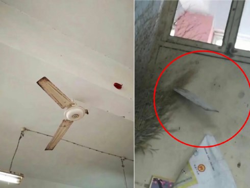 Kinh hoàng quạt trần đang quay thì rụng cánh cắm thẳng vào cửa lớp, đánh thức nỗi sợ thầm kín của bao thế hệ học sinh