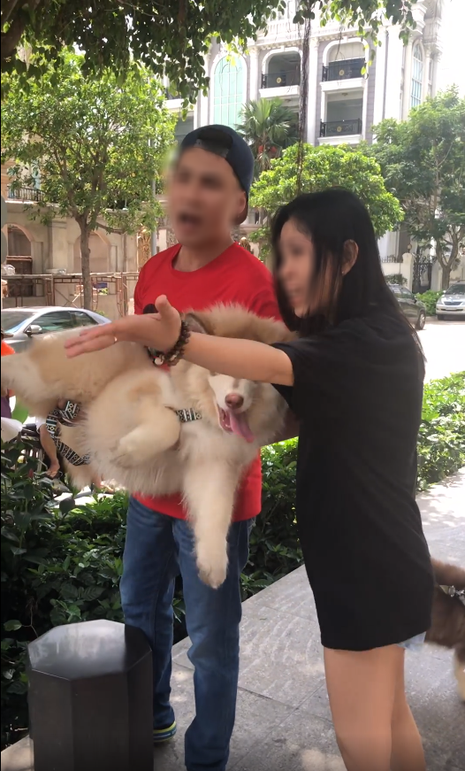 Thanh niên Việt kiều lên tiếng sau clip tranh cãi với bảo vệ: Chó tao là chó nằm máy lạnh-2