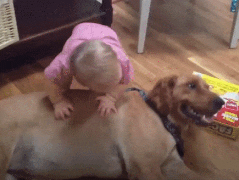 Khi trẻ con làm những hành động kì quặc mà người lớn không hiểu-1