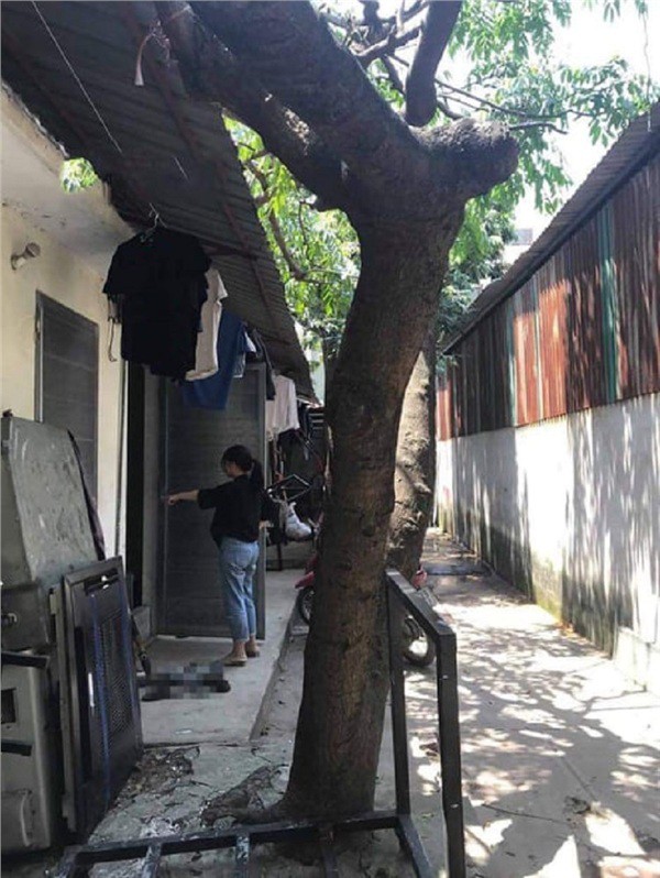 Đại chiến gia đình giữa ngày 40 độ: Vợ bầu 8 tháng muốn ngất lịm đi vì nóng, chồng tiếc tiền quyết không mua điều hòa-2