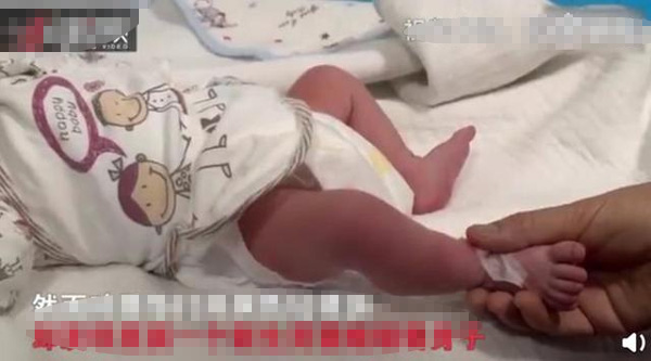 Thấy cô gái vứt xác con chó, người dọn rác mở ra phát hiện sự thật bất ngờ-1