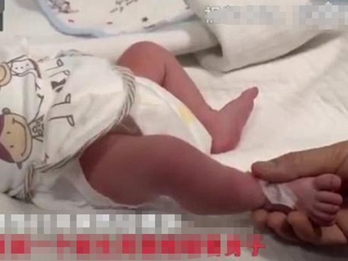 Thấy cô gái vứt xác con chó, người dọn rác mở ra phát hiện sự thật bất ngờ