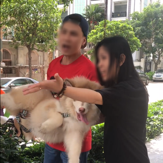 Nam Việt Kiều đến gặp và trực tiếp xin lỗi bác bảo vệ chung cư: Do con cảm thấy mình bị khinh thường nên mới phản ứng lại như vậy-1