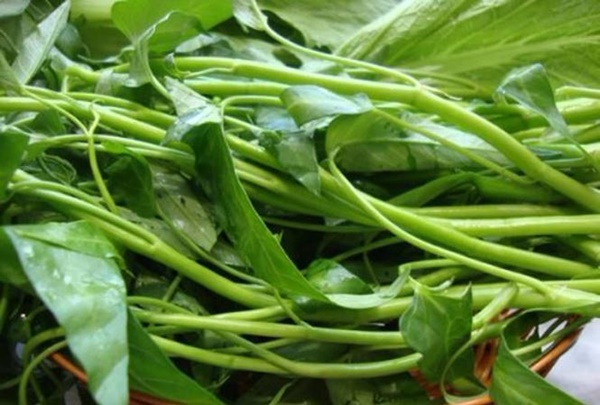 Mắc những bệnh này cấm kỵ ăn rau muống vì cực kỳ độc-1