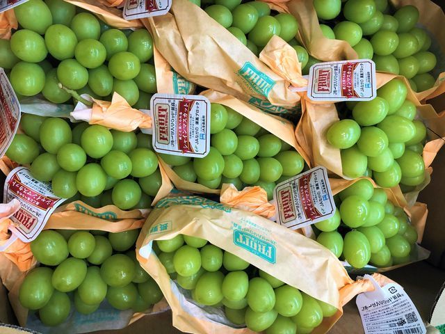 Nho mẫu đơn Nhật giá chát, đắt bằng cả tấn thóc vẫn cháy hàng-1