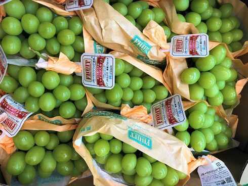 Đu đủ Nhật 1 triệu đồng/kg: Bớt lương, mua ăn giảm cân-4