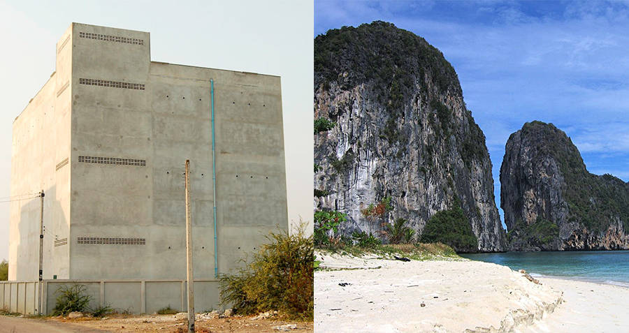 Món ngon đắt tiền được người dân đánh đổi mạng sống để lấy được-2