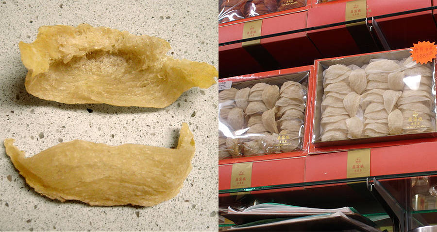 Món ngon đắt tiền được người dân đánh đổi mạng sống để lấy được-3