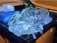 Bị nhân viên hỏi túi rác có gì, người phụ nữ nói rằng xác động vật nhưng hóa ra bên trong là tội ác khiến ai cũng phẫn nộ