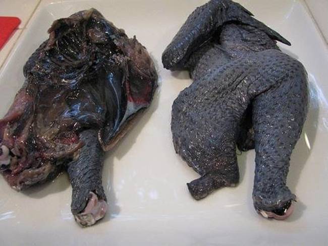 Gà mặt quỷ đen hết phần thiên hạ giá đắt hơn cả vàng ròng-10