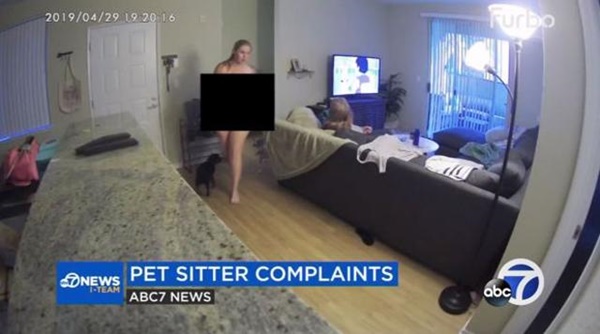 Thuê người tới trông hộ chó, cô gái sững sờ khi kiểm tra camera-1