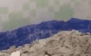 Vụ 2 thi thể giấu trong thùng bê tông: Vai trò của bà trùm Phạm Thị Thiên Hà-1