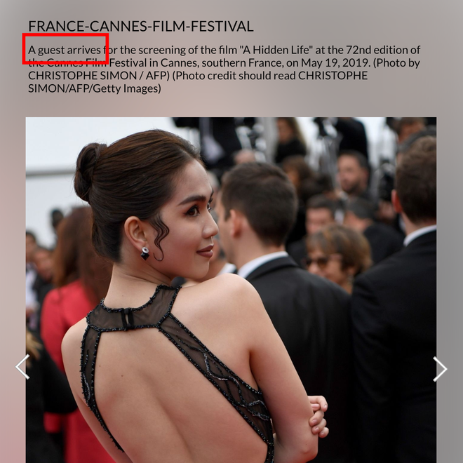 Thảm đỏ Cannes: Ngọc Trinh đạt được mục đích và nỗi xấu hổ của nhiều người Việt-2