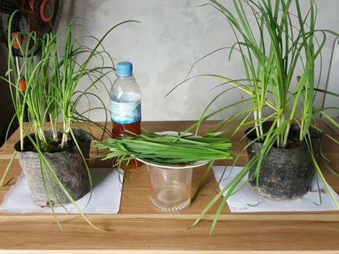 Đứng bằng một chân, nhắm mắt và đếm: Thước đo tình trạng sức khỏe và tuổi thọ cực chuẩn-3